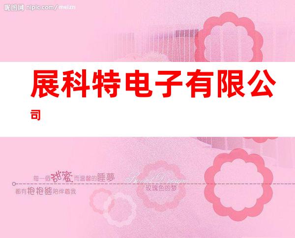 展科特电子有限公司